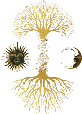 Camiseta Oversized Tshirt Hevor Exclusive Tree